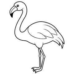 Flamingo Coloring Page for Kids Varied Poses art vector illustration