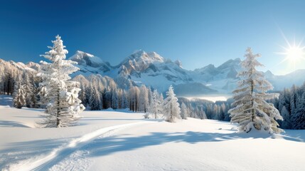 Obraz premium Beautiful winter panorama with fresh powder snow. Landscape