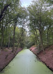 The river in the park