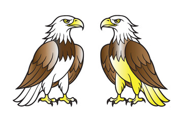 American eagle set logotypes colorful vector illustration..