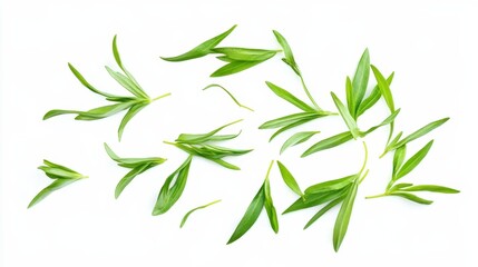 Naklejka premium Green tarragon leaves scattered on white background.
