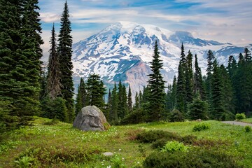 Mt Rainier  with a madow and forest forground viewed from a trail just above Parasise Lodge,...