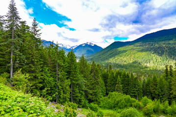 landscape with sky with forest and mountains