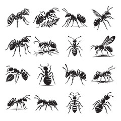 Ants silhouette vector