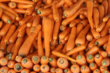 fresh carrots on the market