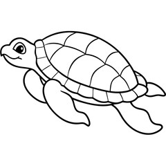 turtle illustration line art design