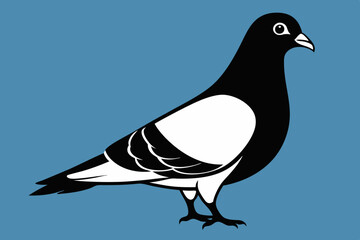 Pigeon isolated on silhouette premium vector and black design white background