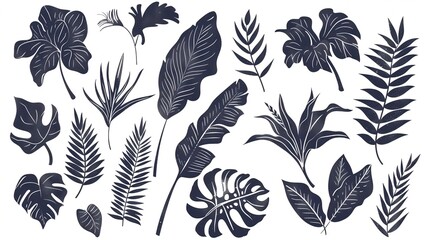 Collection of tropical leaves in black and white.