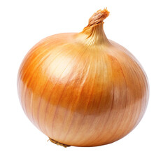 onion isolated on transparent background