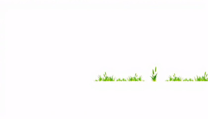 Fototapeta premium green grass field isolated on white background, Green grass seamless border, green grass island