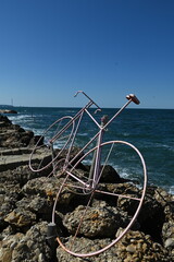 Bicicletta rosa