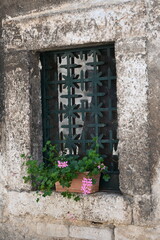 Fiori sul davanzale