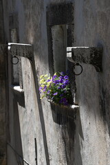 Fiori sul davanzale