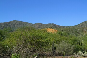 Landscapes on the island of Margarita, Venezuela.
An infinite variety of landscapes can be found in Margarita, beautiful beaches, and green mountains!