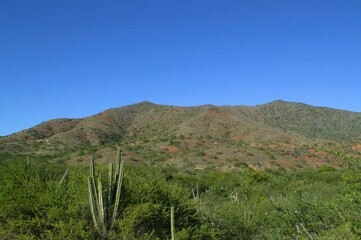 Landscapes on the island of Margarita, Venezuela.
An infinite variety of landscapes can be found in Margarita, beautiful beaches, and green mountains!