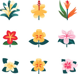 Obraz premium illustration vector nature plant summer leaf flower tropical climate design tree decoration botany palm leaf background