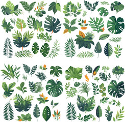 frame foliage vintage garden set  leaf illustration nature plant watercolor decoration flower design invitation floral