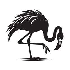 silhouette Water Bird