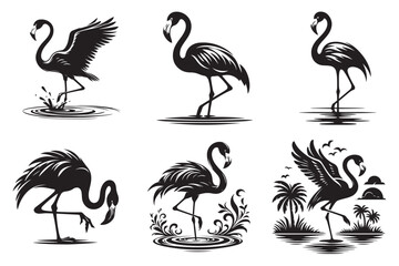 silhouette Water Bird