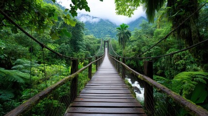 A narrow wooden bridge extends through a dense, green jungle landscape, with towering trees and vibrant plants all around, suggesting a peaceful yet adventurous path.