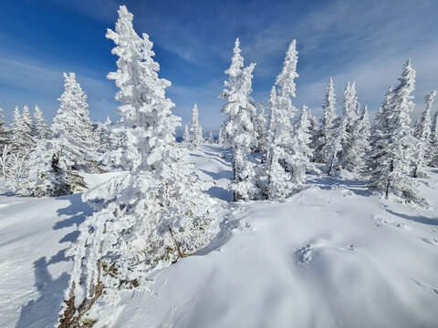 Snowy winter in the ski resort of Sheregesh in Siberia, Russia.