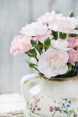 Cute bouquet of pink carnations.
