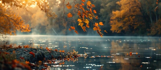 Fototapeta premium These Photos Are Mostly Of All The Nature Related Take In The Morning In The Season Of Autum