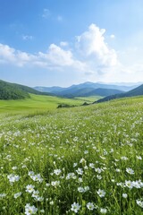 A peaceful hillside covered in vibrant wildflowers, presenting a stunning view that evokes a sense of calm and contentment.