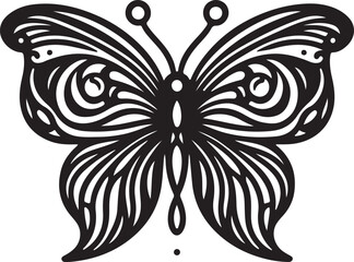 black and white butterfly