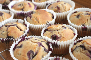 Home Baked Fresh Large Blueberry Muffins in Small Business Kitchen