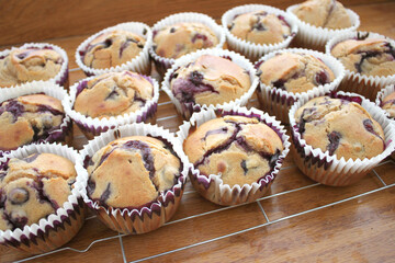Home Baked Fresh Large Blueberry Muffins in Small Business Kitchen