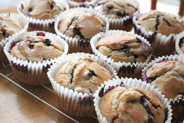 Home Baked Fresh Large Blueberry Muffins in Small Business Kitchen