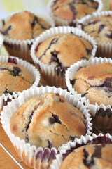 Home Baked Fresh Large Blueberry Muffins in Small Business Kitchen