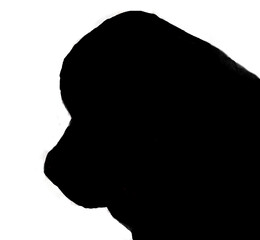 Black silhouette of black, Newfoundland dog. 