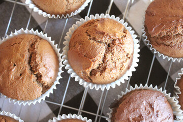 Fresh Baked Homemade Gingerbread Muffins with Buffalo Check and Sunflower Background