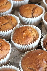 Fresh Baked Homemade Gingerbread Muffins with Buffalo Check and Sunflower Background