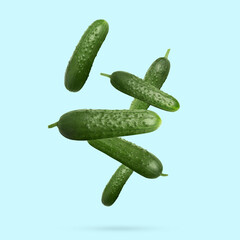 Whole ripe cucumbers falling on light blue background