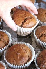 Fresh Baked Homemade Gingerbread Muffins with Buffalo Check and Sunflower Background