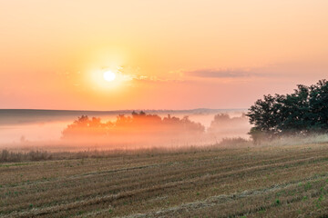 Sunrise over misty fields and distant trees in a tranquil rural landscape