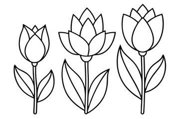 Set of tulip flower vector silhouette 