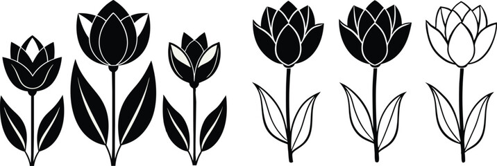 Set of tulip flower vector silhouette 