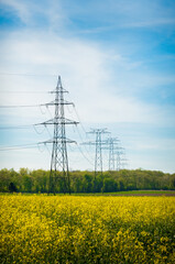 Transmission towers in a colza field with a sunny day