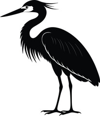 Heron Silhouette Capturing the Grace and Elegance of Water Birds