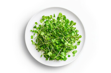 Top view of plate with fresh microgreens, on a white background. Vegetarian healthy eating and nutrition concept