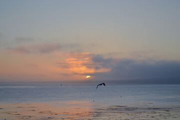 Beuatiful sunrise in Monterrey lake. Sun rising in a wonderful lake with birds.