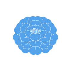 Camellia vector illustration isolated on white