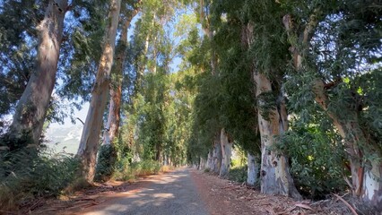 Lovers Path, one of the symbols of Gökova, visited by thousands tourists every year. People come...