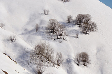 close up shot over leafless trees, above a snowy mountain and beautiful snow mountain peaks. Winter wilderness, on a sunny day