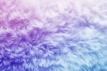 Fototapeta premium A luxurious carpet with a gradient from purple to white, resembling soft fur. A blue and white plush textured carpet for a touch of elegance.