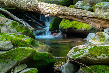 waterfall in the forest